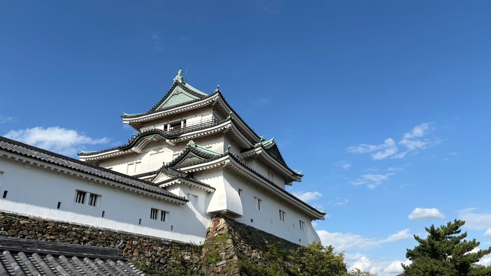 青空の下の和歌山城